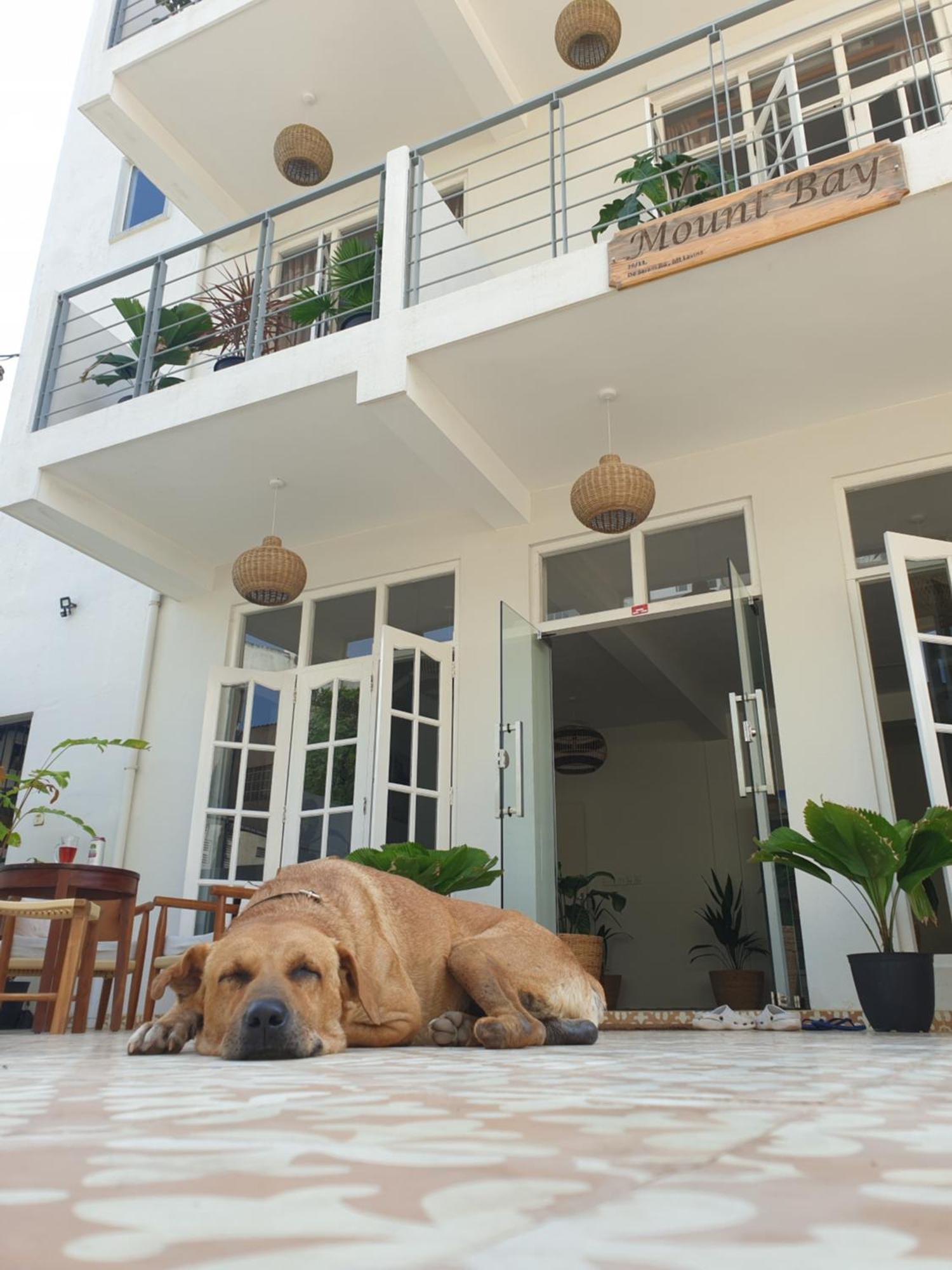 Mountbaylk Hotel Dehiwala-Mount Lavinia Ngoại thất bức ảnh